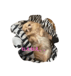 anjewel ver2（個別スタンプ：2）