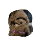 anjewel ver2（個別スタンプ：15）
