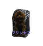 anjewel ver2（個別スタンプ：17）