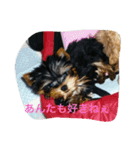 anjewel ver2（個別スタンプ：22）
