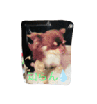anjewel ver2（個別スタンプ：24）