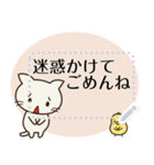 ねこのしーちゃん【メッセージスタンプ】（個別スタンプ：14）