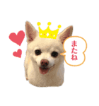 [新]紋次郎スタンプ（個別スタンプ：4）