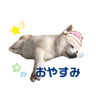 [新]紋次郎スタンプ（個別スタンプ：6）