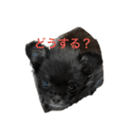 anjewelver4（個別スタンプ：13）