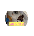 はやぺそ（個別スタンプ：3）