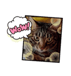 はやぺそ（個別スタンプ：4）