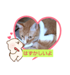 はやぺそ（個別スタンプ：6）