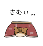 ベンガルにゃんこ（個別スタンプ：24）