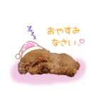 トイプードル桃ちゃんの毎日スタンプ（個別スタンプ：9）