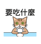 太い猫 スポンパトリック（個別スタンプ：6）