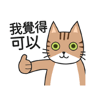 太い猫 スポンパトリック（個別スタンプ：9）