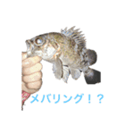 釣りへ行こうよ！2（個別スタンプ：5）