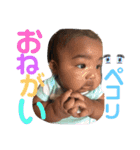 Welcome to Shakir②（個別スタンプ：2）