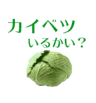 道産子弁とっちくんスタンプ（個別スタンプ：22）