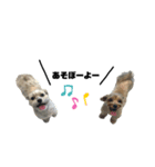 どららくんとつみきちゃん2（個別スタンプ：1）