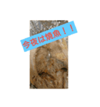 今夜のメニュー（個別スタンプ：4）