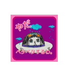 ONE PIECE 麦わら（帽子）の一味（個別スタンプ：13）