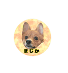 いぬ。きーのスタンプ2（個別スタンプ：4）