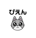 しゅーるなねこさん。（個別スタンプ：8）
