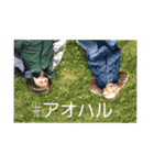 SKN SISTERS 2（個別スタンプ：16）