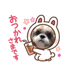 ジャッキーがいっぱい（個別スタンプ：3）