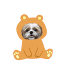 ジャッキーがいっぱい（個別スタンプ：5）