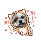 ジャッキーがいっぱい（個別スタンプ：10）