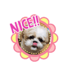 ジャッキーがいっぱい（個別スタンプ：15）