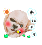 らぶまろん（個別スタンプ：2）