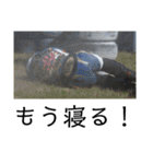 大西勇次 Mk-II（個別スタンプ：12）