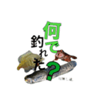 かいとの日常(釣り)（個別スタンプ：4）