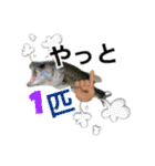 かいとの日常(釣り)（個別スタンプ：5）