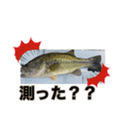かいとの日常(釣り)（個別スタンプ：14）