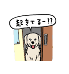 犬ずくめ（個別スタンプ：8）