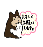 犬ずくめ（個別スタンプ：16）