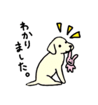 犬ずくめ（個別スタンプ：17）