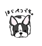 犬ずくめ（個別スタンプ：21）