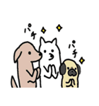 犬ずくめ（個別スタンプ：22）