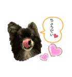 ラブリーれお♡（個別スタンプ：5）
