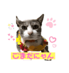 ゆかいな3兄弟 きなこ ごま しずく（個別スタンプ：8）