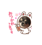 チワワのリンさん（個別スタンプ：1）