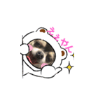 チワワのリンさん（個別スタンプ：2）