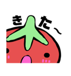 トッティくん面（つら）（個別スタンプ：25）