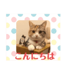 毎日ほっこりさくちゃんスタンプ2（個別スタンプ：1）