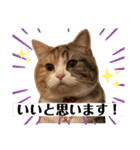 毎日ほっこりさくちゃんスタンプ2（個別スタンプ：2）