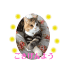 毎日ほっこりさくちゃんスタンプ2（個別スタンプ：3）