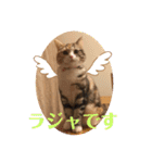 毎日ほっこりさくちゃんスタンプ2（個別スタンプ：5）