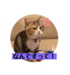 毎日ほっこりさくちゃんスタンプ2（個別スタンプ：6）