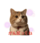 毎日ほっこりさくちゃんスタンプ2（個別スタンプ：7）